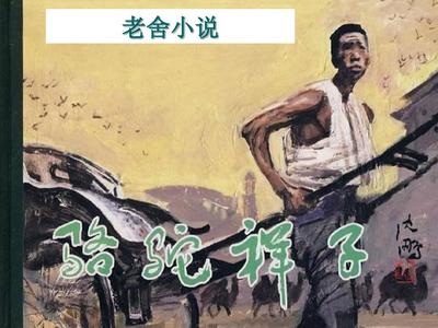 深入了解 91含羞草入口